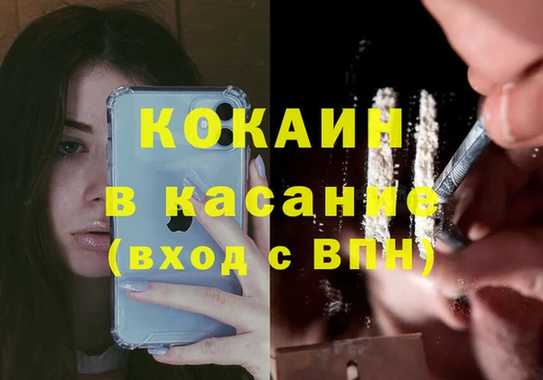 крисы Алексин