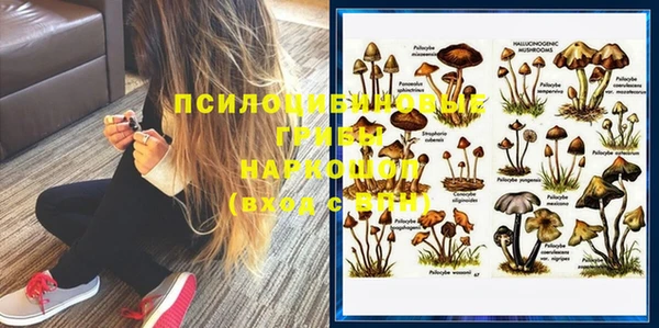 крисы Алексин