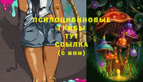 крисы Алексин