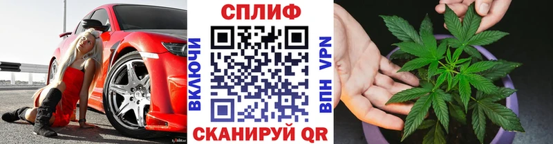 Шишки марихуана семена  OMG как войти  Советский 